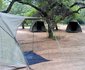 Journey Through Kruger Safari