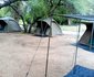 Journey Through Kruger Safari