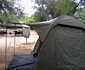 Journey Through Kruger Safari