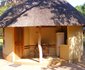 Journey Through Kruger Safari