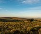 Haarwegskloof Renosterveld Reserve