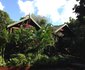 Ntsuty Lodge