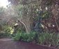 Ntsuty Lodge