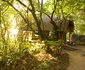 Domwe Island Camp