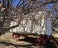 Clarens Ox-wagon Camp
