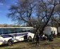 Clarens Ox-wagon Camp