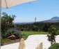 Pakya - The Little Olive Farm
