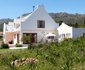 Pakya - The Little Olive Farm