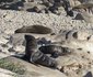 Namaqua Silver Sands