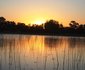 Hippo Island Okavango Delta