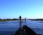 Hippo Island Okavango Delta