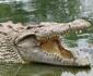 Elmolo Crocodile Park and Lodge
