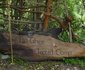Tia Ghee Tented Camp
