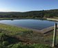 Lone Tree Guest Farm