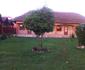 Bwindi Inn & Chalet Village