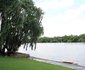 The Riverhouse 