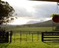 Heaven & Earth Cottage