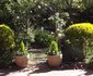 Pepperwood Lodge