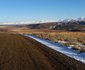 Alpine Swift Trails High Altitude Training Facility