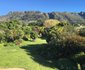 Cape Constantia
