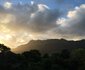 Cape Constantia
