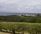 Infanta Getaway