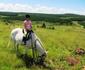  2 Night Stormy Hill Midlands Horse Trail Holiday