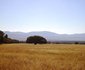 Khaya Nkwe Game & Guest Farm