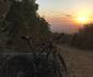 5 Day Winelands Mountain Biking Experience