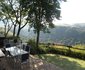 Misty Peaks Stardust Cottage