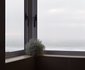 Golden Mile Beach B&B