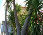 Somerset Way Bnb