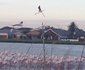Flamingo Lagoon Self Catering 2