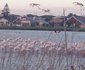 Flamingo Lagoon Self Catering 2