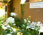 Bloem Guest House