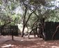 Chalet Pumba, Elephant Camp, Mabalingwe
