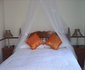 Avon Road Guest House and Tours