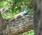Kataza Bushveld Chalet