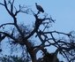 Kataza Bushveld Chalet