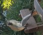 Inn Afrika B & B
