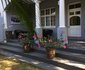 Napier House Bed & Breakfast