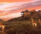 Zandibela Private Game Lodge
