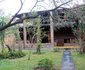 4294 Impala Marloth Park 