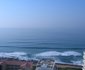 Oyster Schelles 1102