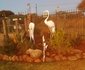 Kingfisher Song Guest House
