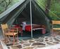 Maasai Simba Camp