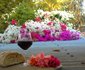 Just Darling Cottage Bed & Braai