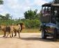 2 Night Classic Kruger Safari Package