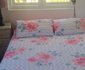 Knysna Backpackers @ Edge Of Africa Lodge