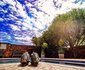 Vintage Charm Guesthouse